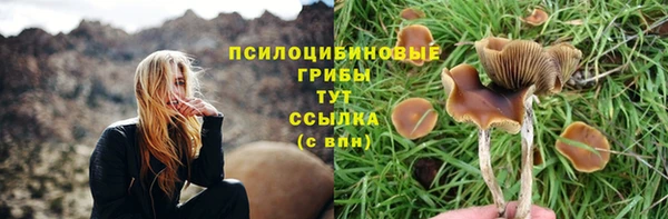 бутират Переславль-Залесский