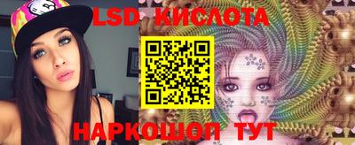стаф Нальчик