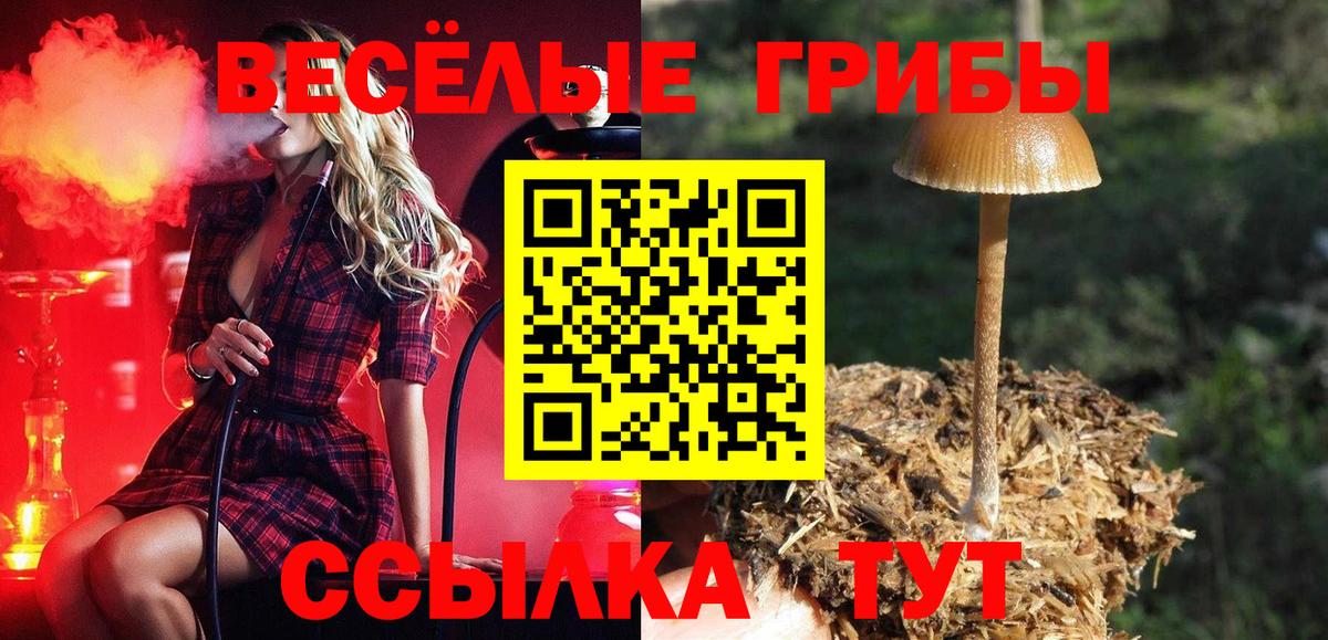 Сальск  Псилоцибиновые грибы GOLDEN TEACHER  Вход с VPN 