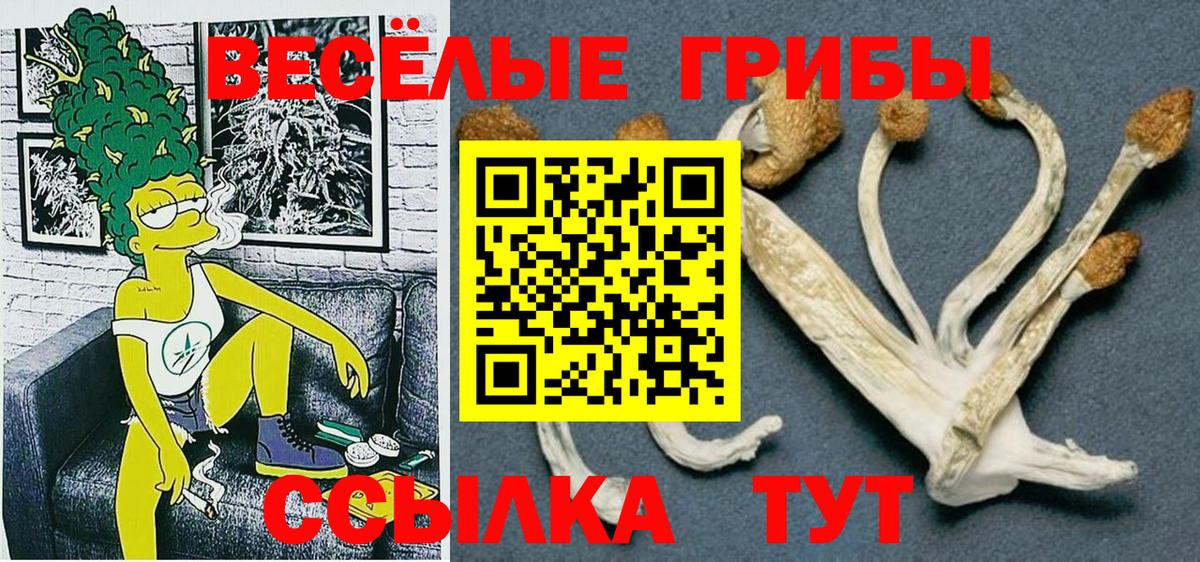 Галлюциногенные грибы Magic Shrooms Сальск